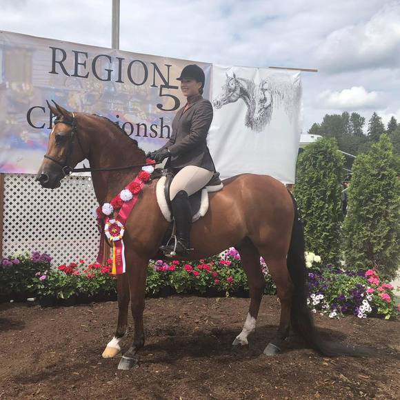 Meet your Posher, Hailee - Picture 1 of 1